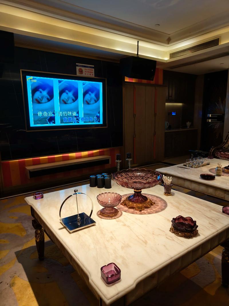 孝感商务ktv推荐商务ktv哪里有-安陆市ktv预定